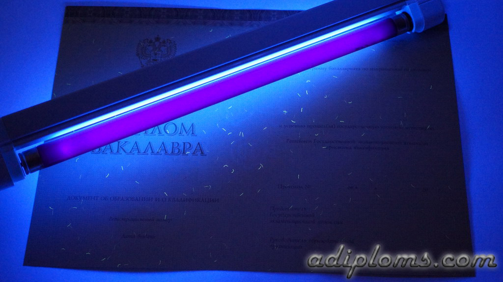 Диплом бакалавра 2014-2025 Фото Диплом бакалавра 2014-2025 Фото