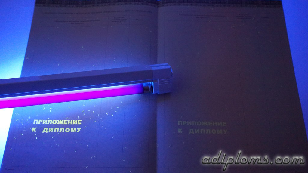 Диплом бакалавра 2014-2025 Фото Диплом бакалавра 2014-2025 Фото